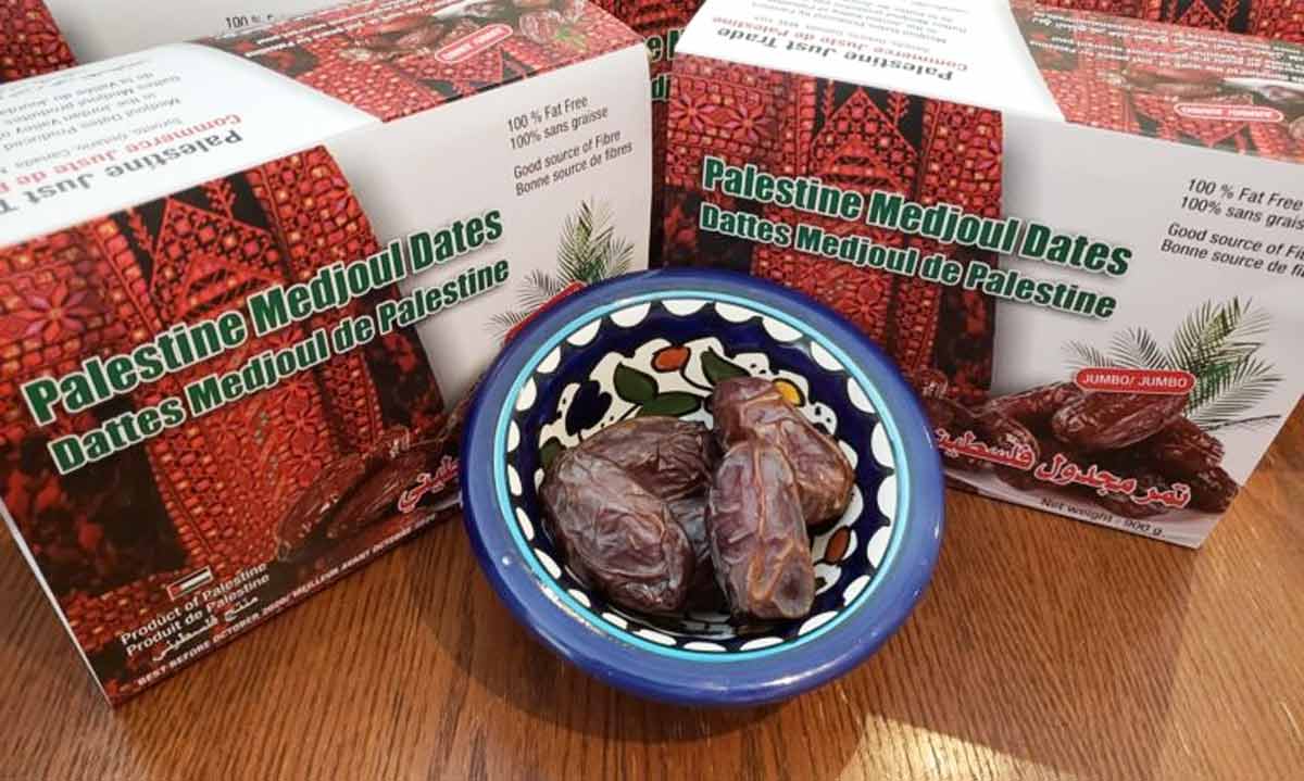 Medjool Dates from Palestine