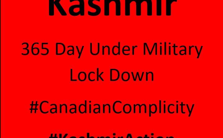 kashmir 1 year