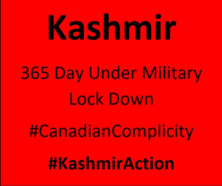 kashmir 1 year