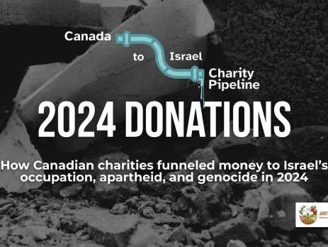 Dark background photo of rubble in Gaza, overlayed with a depiction of a pipe in blue representing the Canada to Israel charity pipeline. Bold white text reads: 2024 DONATIONS, How Canadian charities funnelled money to Israel's occupation, apartheid, and genocide in 2024