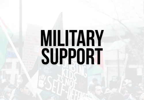 Semi-transparent background of a protest for Palestine with a sign and Palestinian flags waving with bold black text: military support