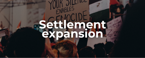 Semi-transparent background of a protest for Palestine with a sign and Palestinian flags waving with bold white text: settlement expansion