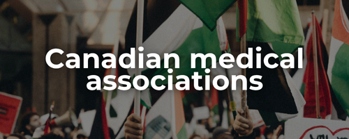 Semi-transparent background of a protest for Palestine with a sign and Palestinian flags waving with bold white text: Canadian medical associations