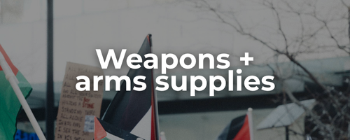 Semi-transparent background of a protest for Palestine with a sign and Palestinian flags waving with bold white text: weapons + arms supplies