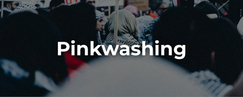 Semi-transparent background of a protest for Palestine with a sign and Palestinian flags waving with bold white text: pinkwashing