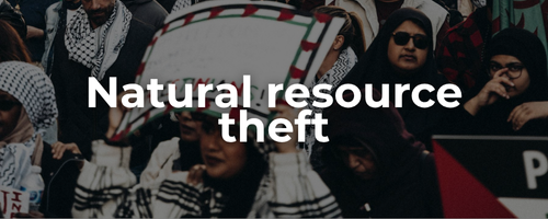 Semi-transparent background of a protest for Palestine with a sign and Palestinian flags waving with bold white text: natural resource theft