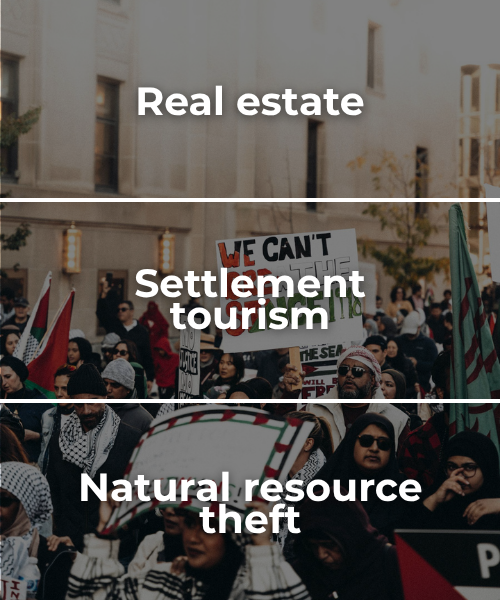 Semi-transparent background of a protest for Palestine with a sign and Palestinian flags waving with bold white text: real estate, settlement tourism, natural resource theft