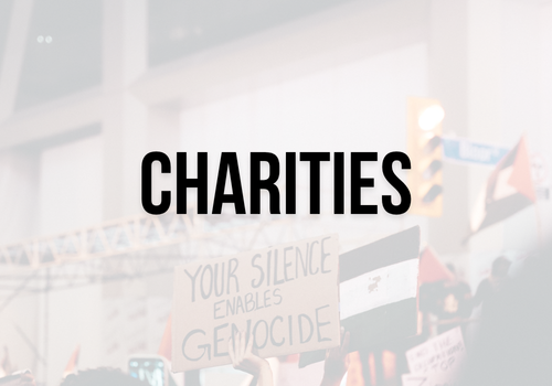 Semi-transparent background of a protest for Palestine with a sign and Palestinian flags waving with bold black text: charities
