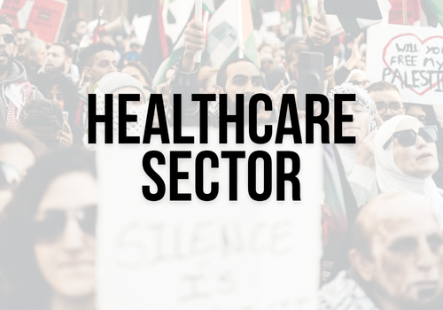 Semi-transparent background of a protest for Palestine with a sign and Palestinian flags waving with bold black text: healthcare sector