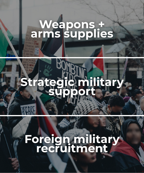 Semi-transparent background of a protest for Palestine with a sign and Palestinian flags waving with bold white text: weapons + arms supplies, strategic military support, foreign military recruitment