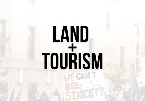 Semi-transparent background of a protest for Palestine with a sign and Palestinian flags waving with bold black text: land + tourism