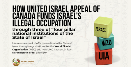 Background is a faded map of Palestine, with a graphic on the right of three building blocks with a word on each. On the bottom is UIA, next is WZO, and then on the top is Israel. Black text reads: How United Israel Appeal funds Israel’s illegal occupation through three of “four pillar national institutions of the State of Israel” Learn more about UIA’s connection to the State of Israel through organizations like the World Zionist Organization (WZO) and how UIA has sent at least $1.7 billion to Israel since 1994