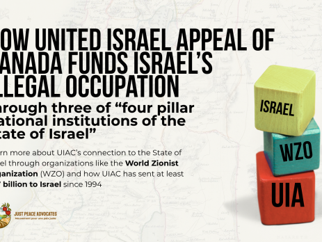 Background is a faded map of Palestine, with a graphic on the right of three building blocks with a word on each. On the bottom is UIA, next is WZO, and then on the top is Israel. Black text reads: How United Israel Appeal funds Israel’s illegal occupation through three of “four pillar national institutions of the State of Israel” Learn more about UIA’s connection to the State of Israel through organizations like the World Zionist Organization (WZO) and how UIA has sent at least $1.7 billion to Israel since 1994