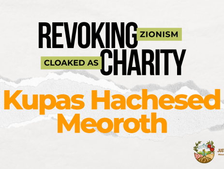 Light beige/grey background with a ripped strip of paper through the centre. Text reads: REVOKING ZIONISM CLOAKED AS CHARITY: Kupas Hachesed Meoroth