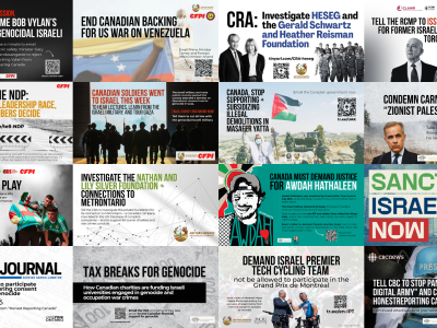 Collage of graphics for various current and past letter writing campaigns