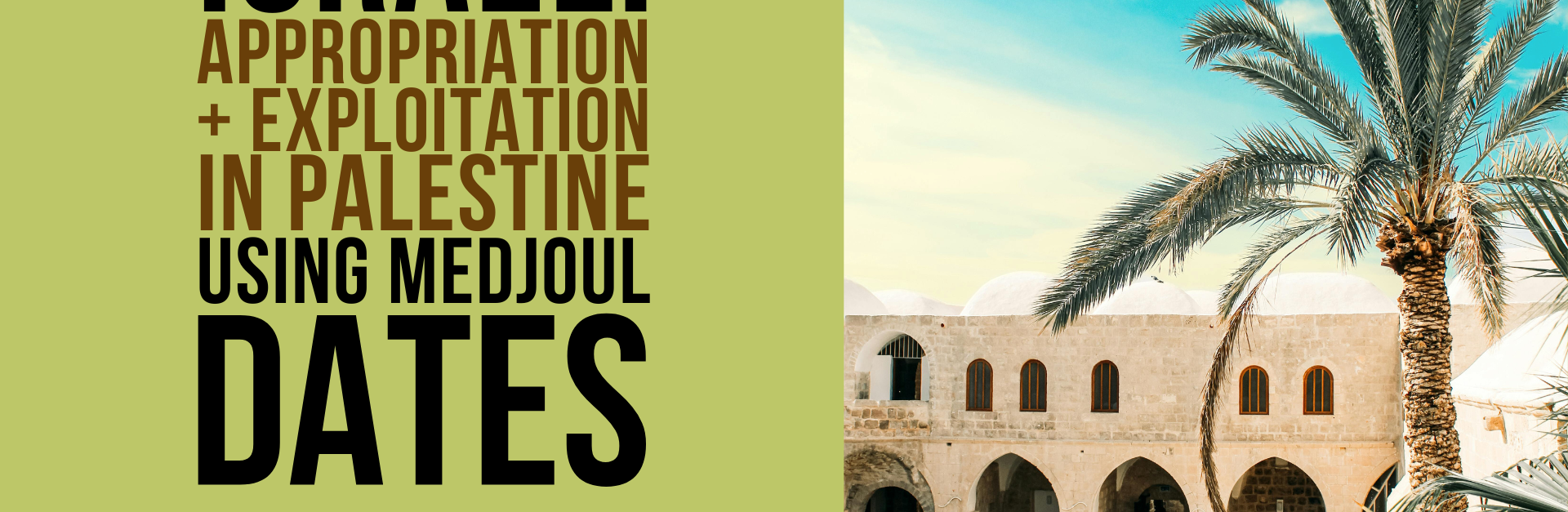 Green background with a photo of a date palm on the left, with most of the dates covered in bags. Title: Israeli Appropriation and Exploitation in Palestine Using Medjoul Dates with the logos for Just Peace Advocates and Al-Haq at the bottom left