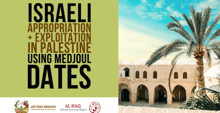 Green background with a photo of a date palm on the left, with most of the dates covered in bags. Title: Israeli Appropriation and Exploitation in Palestine Using Medjoul Dates with the logos for Just Peace Advocates and Al-Haq at the bottom left