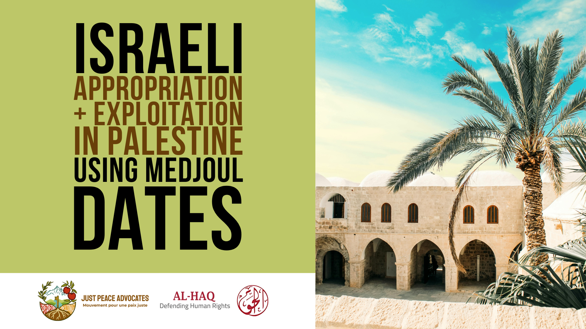Green background with a photo of a date palm on the left, with most of the dates covered in bags. Title: Israeli Appropriation and Exploitation in Palestine Using Medjoul Dates with the logos for Just Peace Advocates and Al-Haq at the bottom left