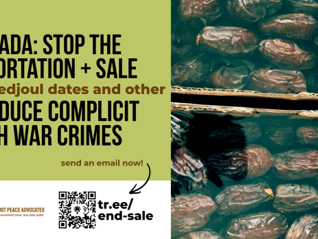 Left half of the page has a green and white background with text: Canada: Stop the Importation + Sale of medjoul dates and other produce complicit with war crimes. Send an email now: tr.ee/end-sale. On the right side is a photo of two boxes of fresh medjoul dates covered in plastic, in cardboard boxes.