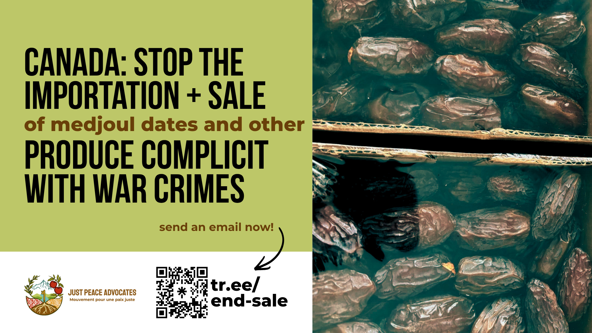 Left half of the page has a green and white background with text: Canada: Stop the Importation + Sale of medjoul dates and other produce complicit with war crimes. Send an email now: tr.ee/end-sale. On the right side is a photo of two boxes of fresh medjoul dates covered in plastic, in cardboard boxes.