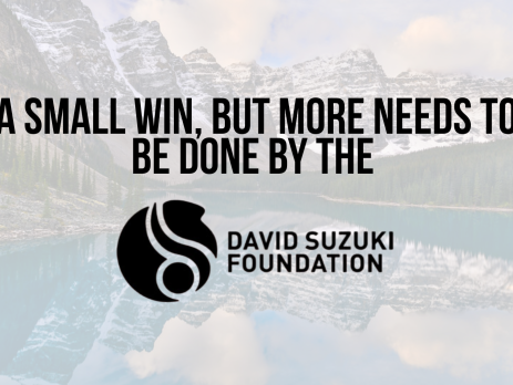 Background photo of a lake in Banff, Alberta. Text reads: A Small Win, But More Needs to Be Done by the David Suzuki Foundation