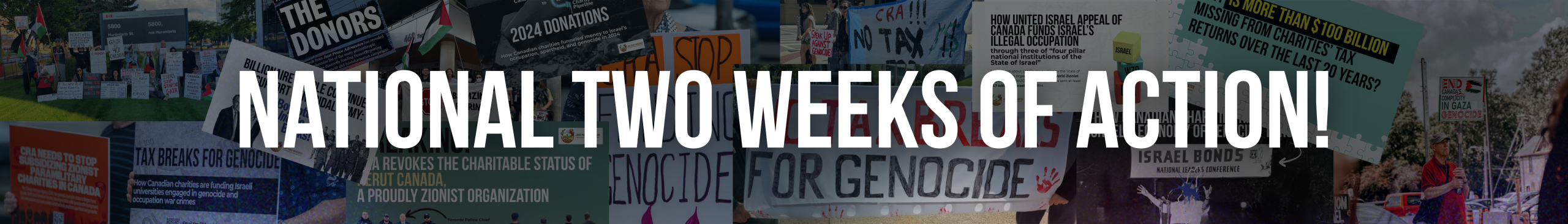 Collage of photos of people taking actions (e.g., holding signs at rallies), graphics from various campaigns (e.g., "Billionaire Couple Continues to Support Genocidal Army: Boycott Indigo Books!"), and protest signs (e.g., "CRA STOP FUNDING GENOCIDE"). Text overlaid reads: ANNUAL DAYS OF ACTION